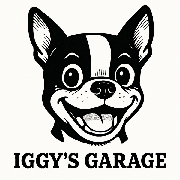 Iggy's Garage